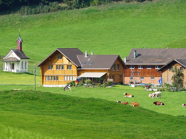 Sejur elvetia