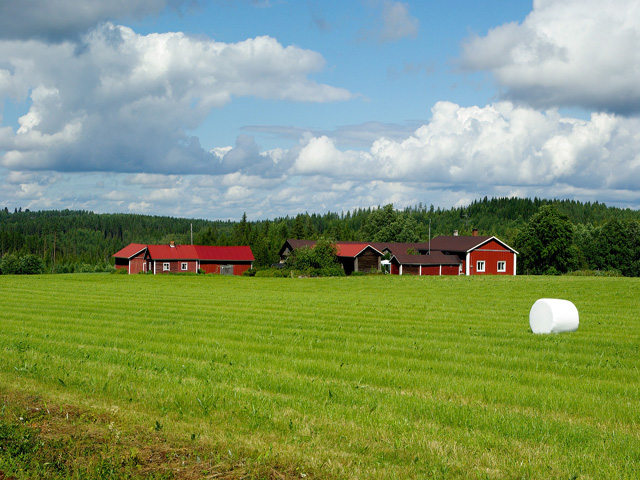 Sejur finlanda